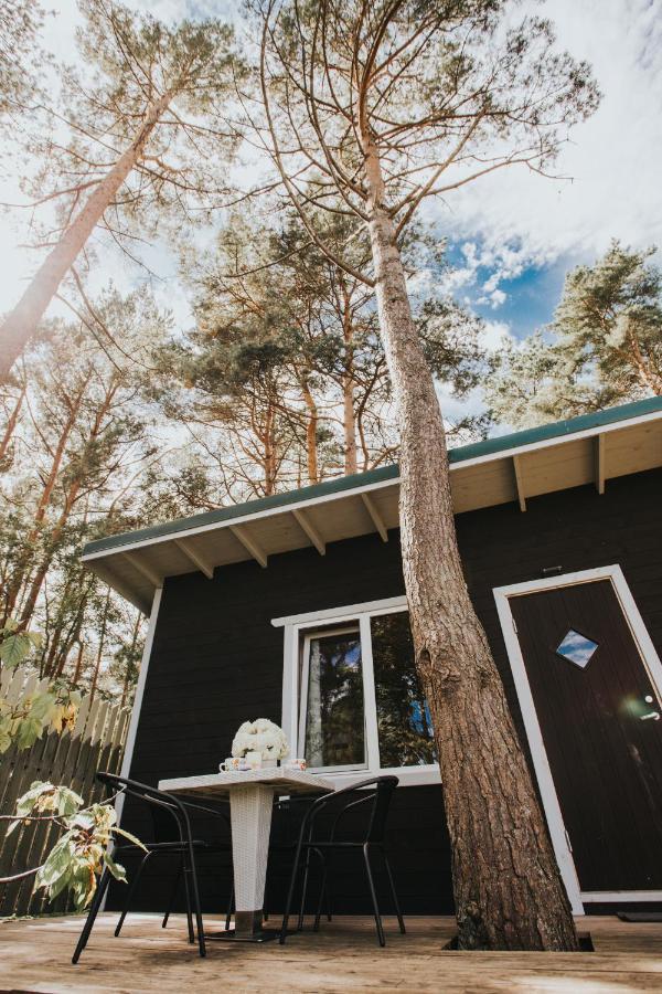 Holiday home Kronkalnini Lapmezciems